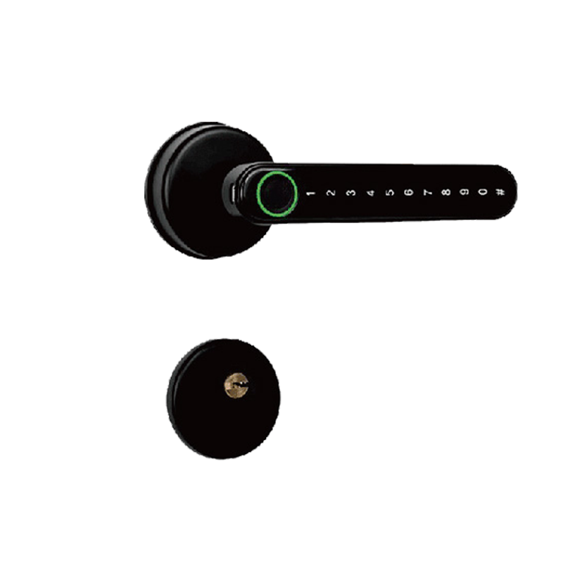 8203 Smart Lock with Lever